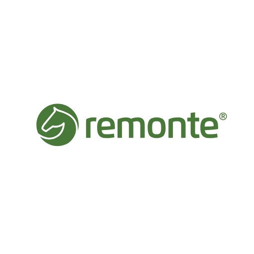 Remonte